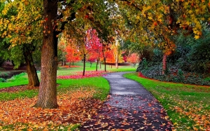 Blog_Autumn-Image (1)